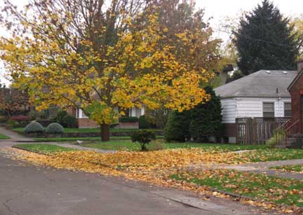 street in fall