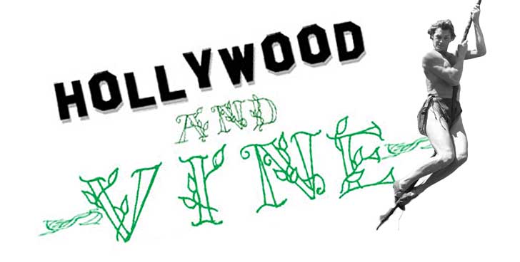 tarzan swinging on vine