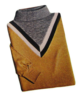turtleneck
